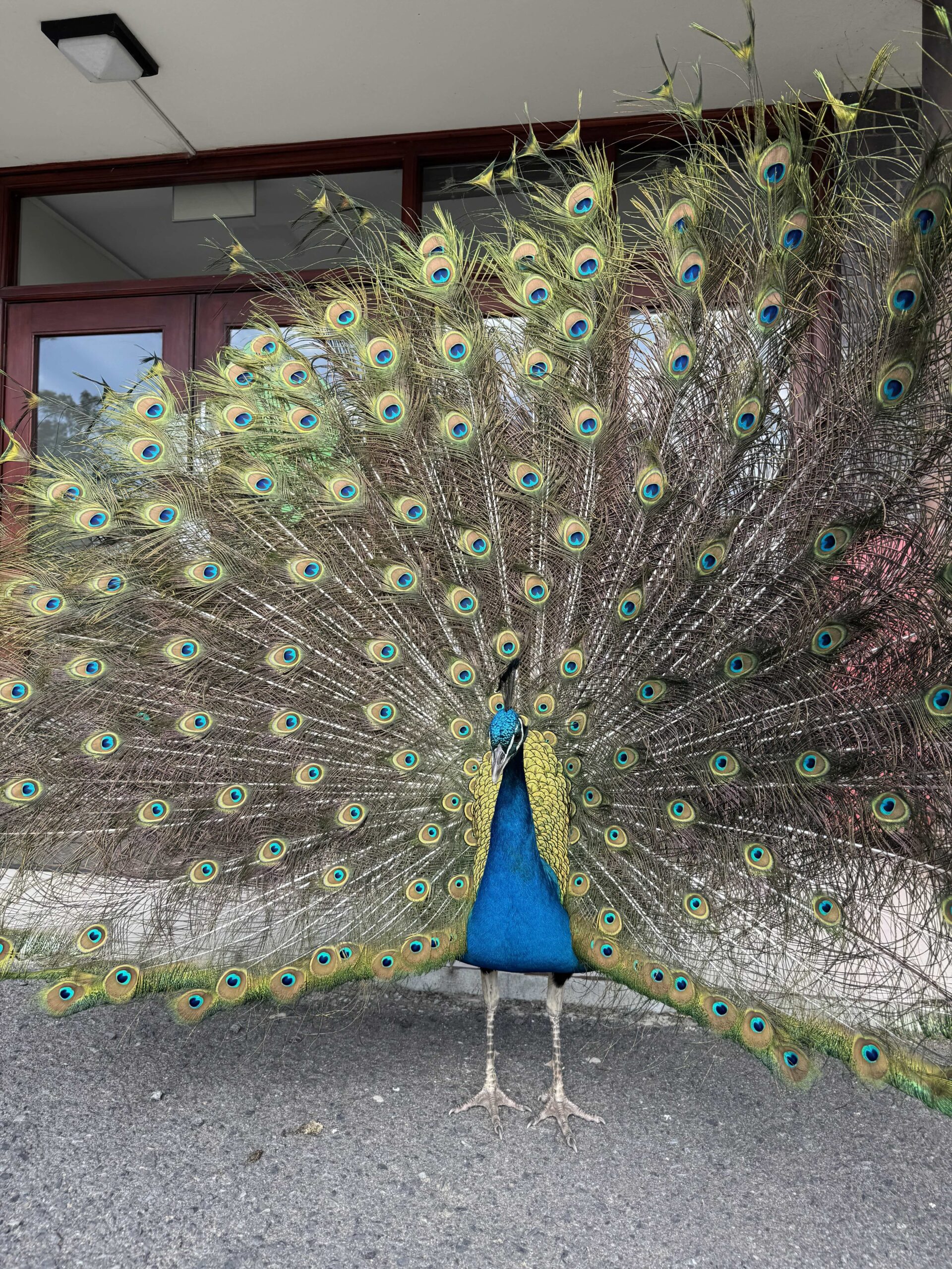 Environment and Ecosystem NRF iThemba LABS