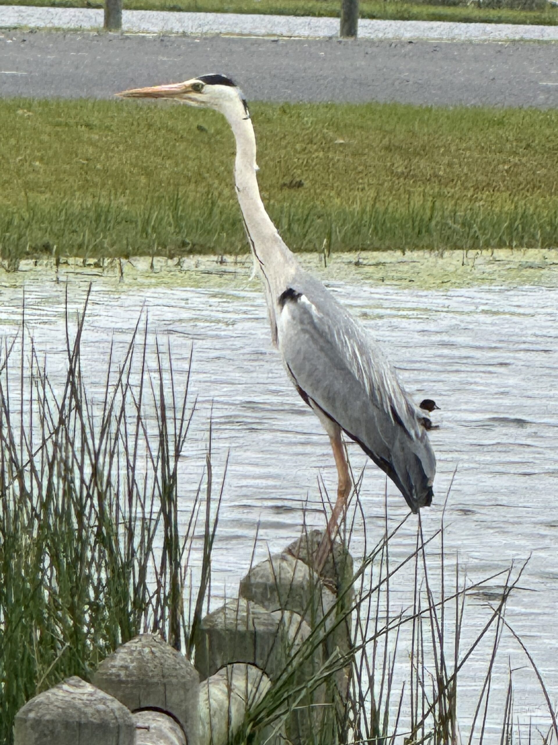 Environment and Ecosystem NRF iThemba LABS